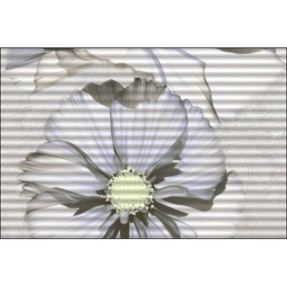 Bellisimo HL 1,Somany, Tiles ,Ceramic Tiles 